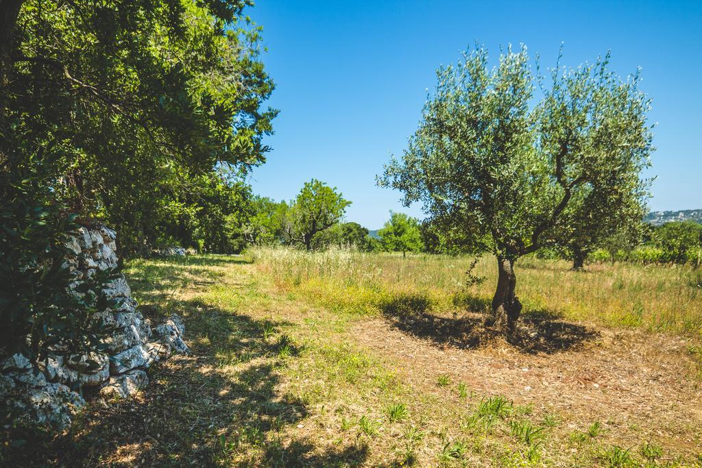 Borgo Sardedda Suites Locorotondo Kültér fotó