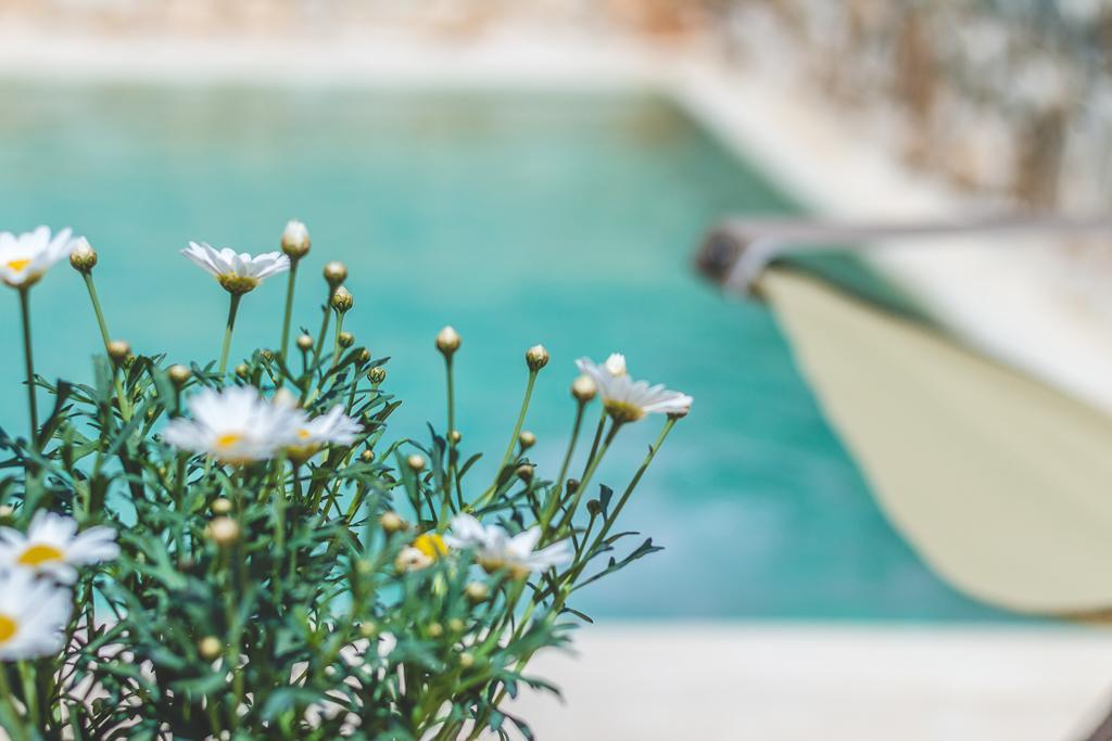 Borgo Sardedda Suites Locorotondo Kültér fotó